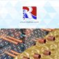 Blue fin condenser coils Vs. Gold fin condenser coils کویل‌های کندانسور فین آبی در مقابل کویل‌های کندانسور فین طلایی